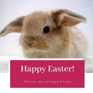 Meet your Posher, Gabriela